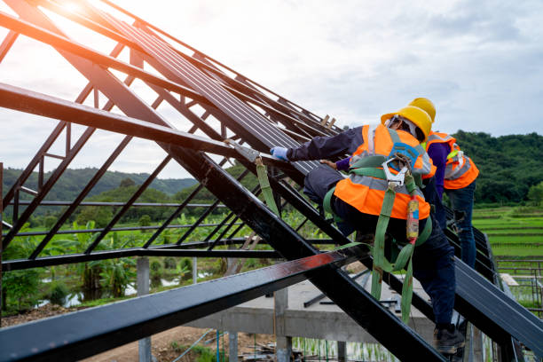 Best Roof Gutter Cleaning  in Hillsboro, TX